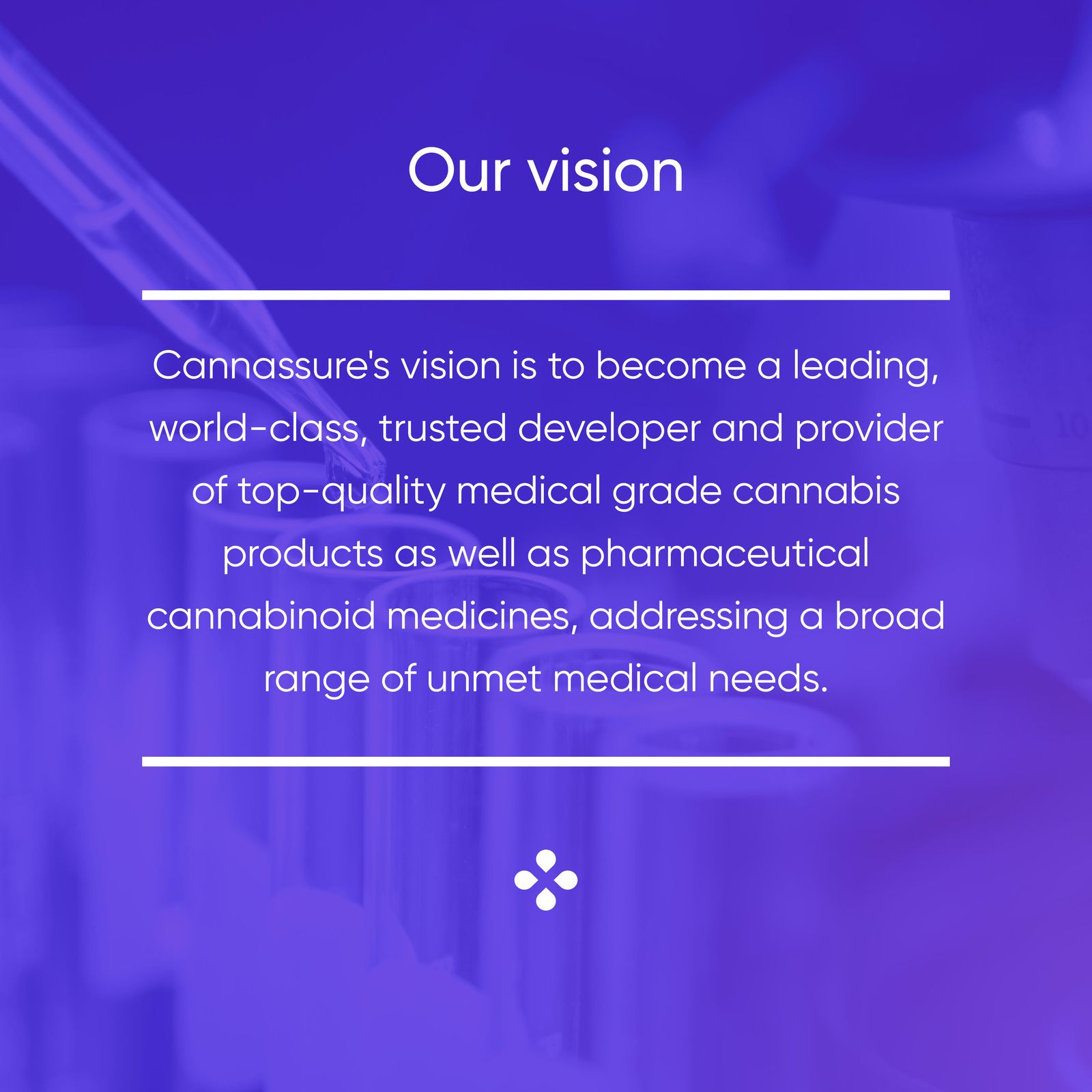 Cannassure: cannassure 3