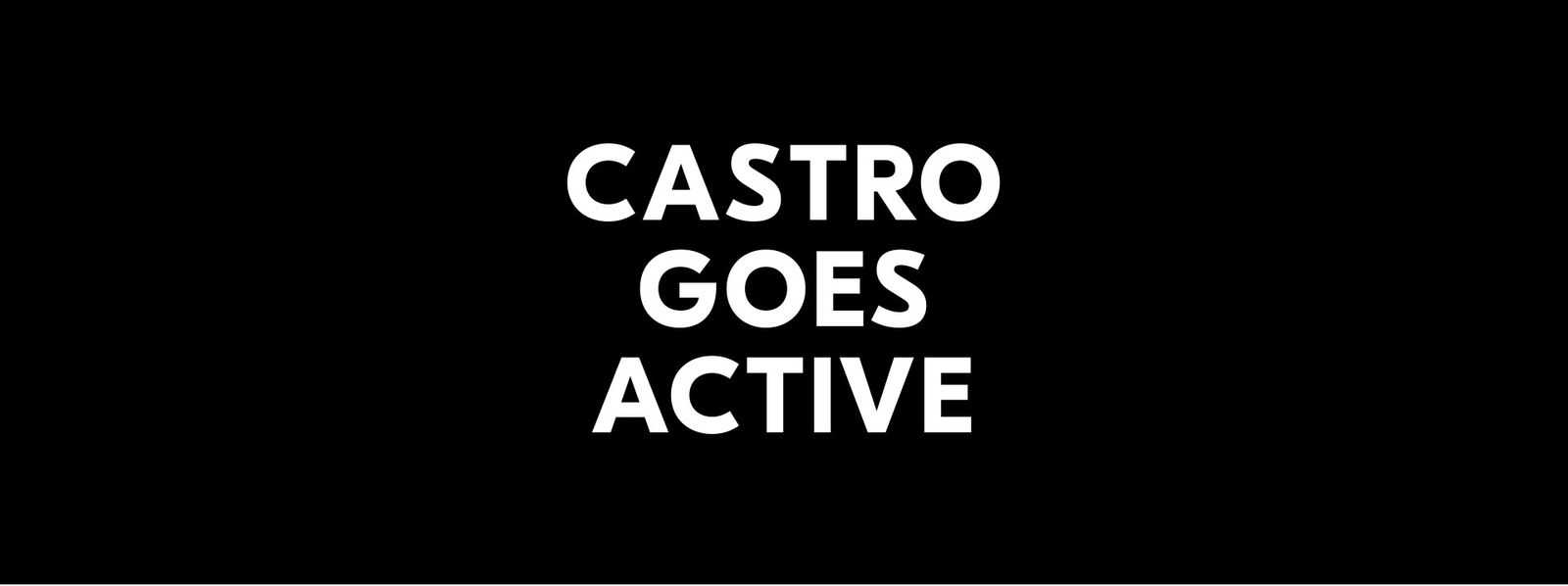 Castro Active Wear: castro logo