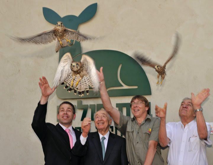 Wildlife Hospital Israel: wildlife hospital 2
